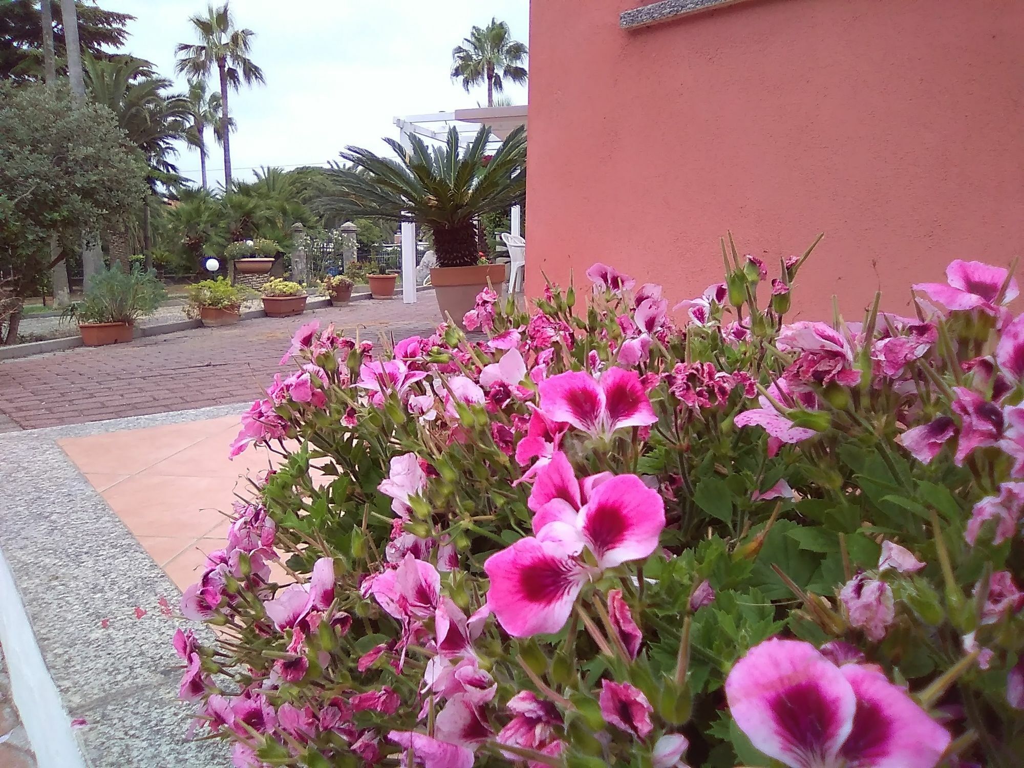 Villa Paola Loano Exterior photo