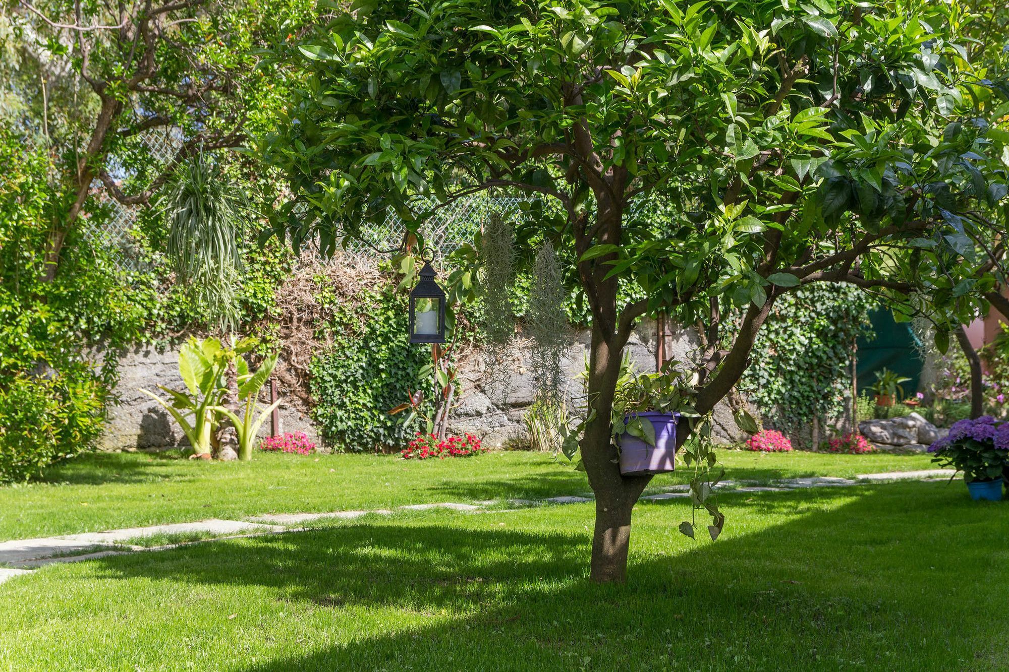 Villa Paola Loano Exterior photo
